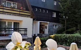 Penzion Svojanov